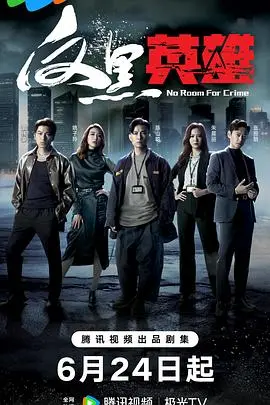 《反黑英雄》粤语：港剧迷必看！警匪卧底再掀风云，正义与黑暗的终极较量