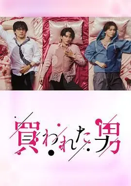 《被买的男人》：肉体交易背后的情感漩涡，深度解析与社会反思