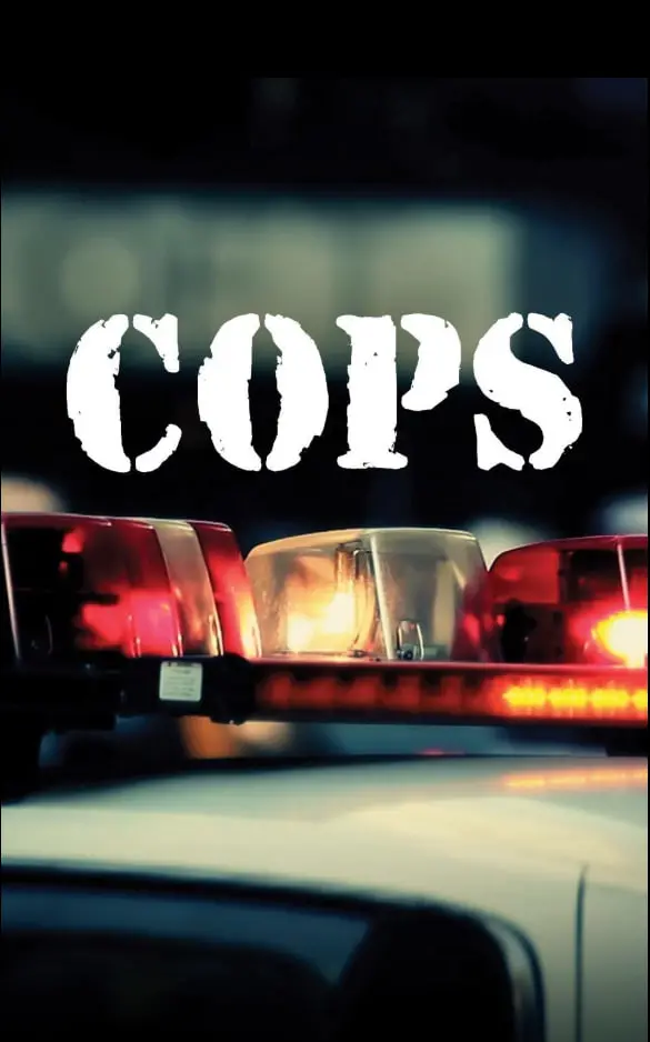 《执法先锋 第三十七季》强势回归：老牌警匪剧如何续写传奇？深度剖析与看点预测