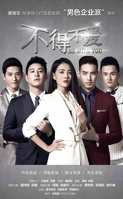 不得不爱 海报